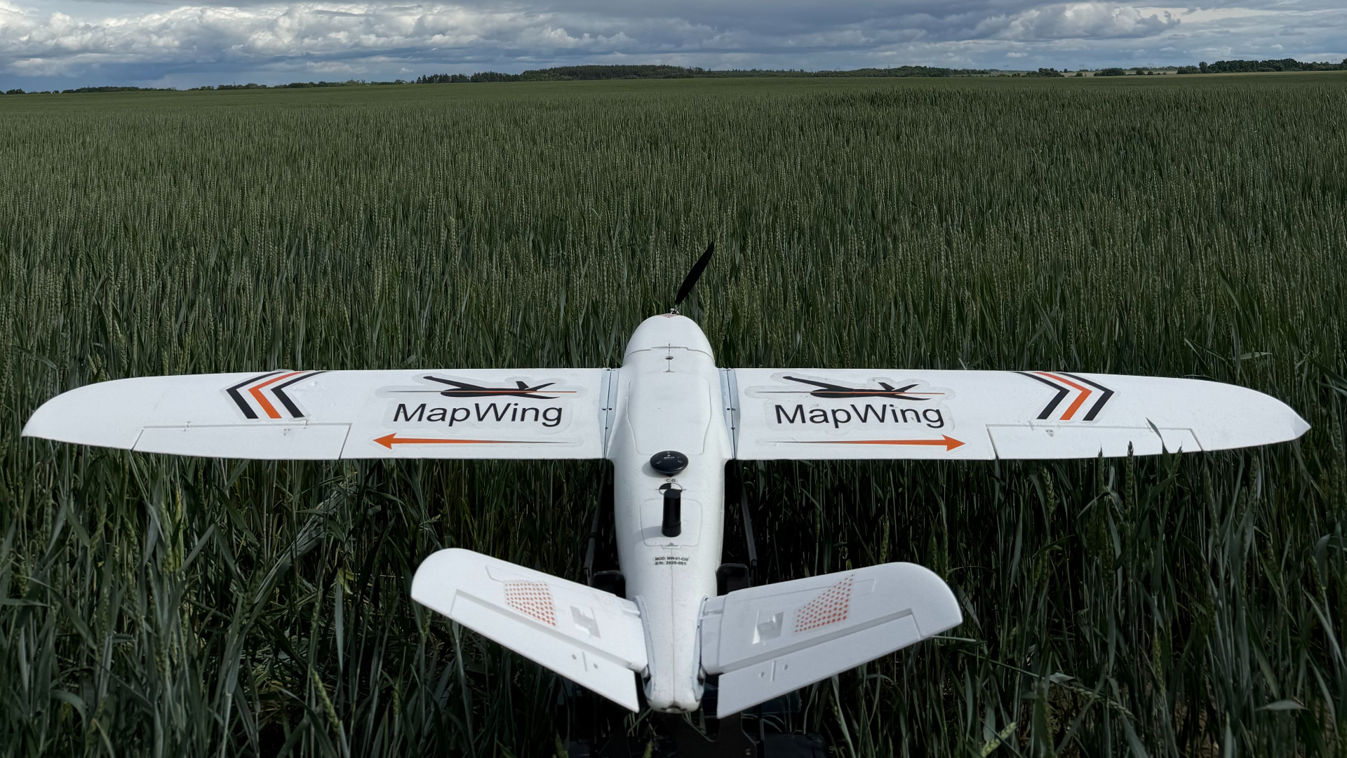 MapWing UAV in a wheat field, rear view facing open horizon